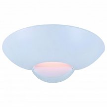 Настенный светильник для кухни Arte Lamp  a7118AP-1WH