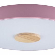 Потолочный светильник Loft IT Axel 10003/24 Pink