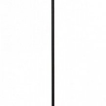 Торшер Arte Lamp Alea A5068PN-1BK