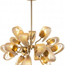 Потолочная люстра Indigo Fless V000345