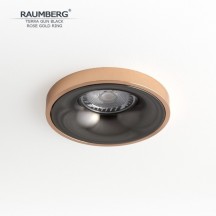 Точечный светильник Raumberg Terra TerraGBk\RGd
