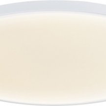 Потолочный светильник Disco DL20171R48NW1W