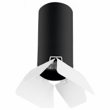 Потолочный светильник Lightstar Rullo (214487+202436) R487436 из Италии