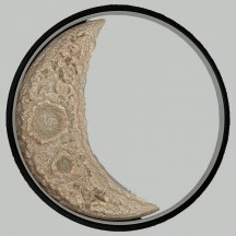 Настенный светильник Alfa Light F0324-40