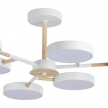 Потолочная люстра Lumion Brad 5652/99CL