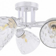 Потолочная люстра Arte Milano Napoli-6820 338756/5 WT+SL