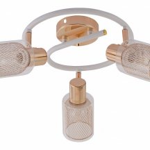 Спот Reluce 96125-3.8-03A WH+FGD