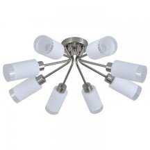 Потолочная люстра Muscari ES0000043