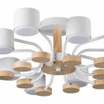 Потолочная люстра Lumion Rondo 8196/10C