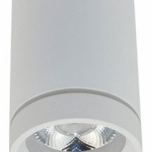 Потолочный светодиодный светильник Aployt Edda APL.0054.09.10