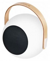 Интерьерная настольная лампа iLedex Giggle EYS0970-CH WH