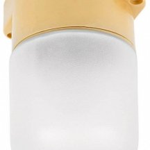 Настенно-потолочный светильник НББ 01-60-001 53168