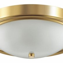 Настенно-потолочный светильник Lumion Nina 5259/3C