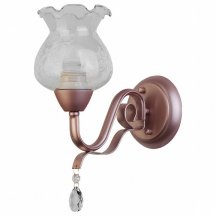 Настенный светильник Россия Toplight Kelli TL5680B-01PG
