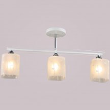 Потолочная люстра Reluce 01698-0.3-03