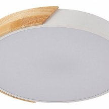 Потолочный светильник Scandinavian LED LAMPS 81181
