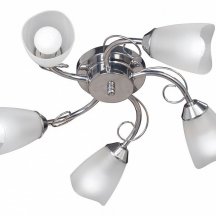 Потолочная люстра Vitaluce V3881-9/5PL