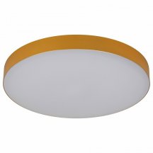 Потолочный светильник ЭРА Relict 38 SPB-6-40 4К MG