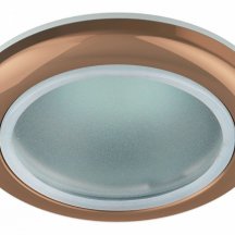 Встраиваемый светильник ЭРА Влагозащитный WR1 SC