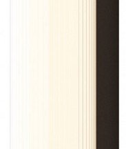 Настенный светильник уличный Rounge O482WL-L12B3K