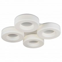 Потолочный светильник ST Luce Lordin SL886.552.04