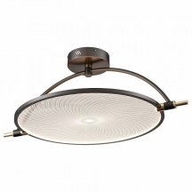 Потолочный светодиодный светильник Wertmark Laura WE430.03.027