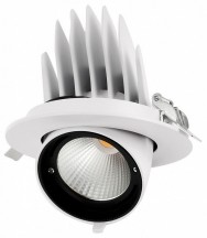 Встраиваемый светильник Jazzway  PLED DL4 30W 4000K 24° White  IP40