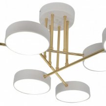 Потолочная светодиодная люстра Escada Rune 10262/6LED