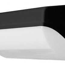 Накладной светильник Arte Lamp Ferro A2920AL-1BK