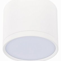 Накладной точечный светильник ST Luce Rene ST113.542.09
