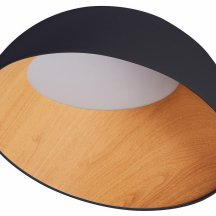 Потолочный светильник Zortes Baum ZRS.01243.05