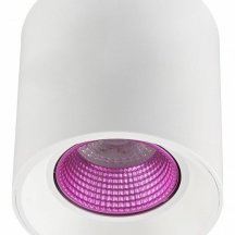 Точечный светильник Denkirs DK3090-WH+PI