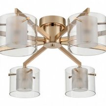 Потолочная люстра Lumion Verdi 6587/8C