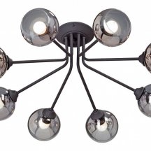 Потолочная люстра Vitaluce V4724-1/8PL