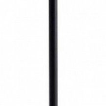 Настольная лампа декоративная Arte Lamp Fuyue A1614LT-1BK