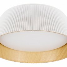 Потолочный светильник Loft IT Evans 10224 White