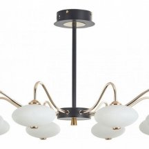 Потолочная люстра Arte Milano 273908/8 BK/GD