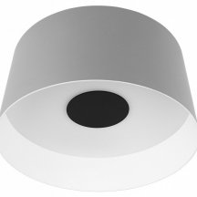 Потолочный светодиодный светильник Loft IT Duo 10360M Grey