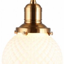 Кухонный подвесной светильник Aployt Sofi APL.302.06.01