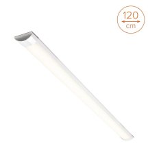 Настенно-потолочный светильник  WLFS36W03