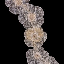 Бра LEON Violetta LE3018/5W GD