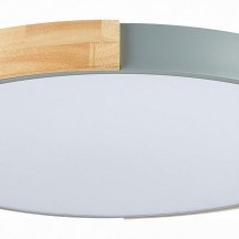 Потолочный светильник Evoluce Delia SLE201372-01