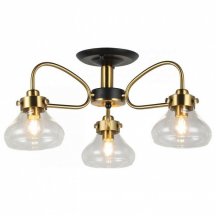 Потолочная люстра Imex MD.73963-3-S-BK+BR