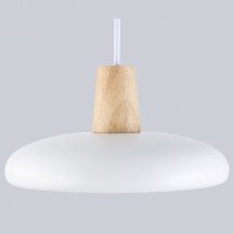 Светильник подвесной Ambrella light COMFORT FL4838