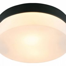Потолочный светильник Arte Lamp Aqua-tablet A6047PL-2BK