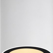 Точечный светильник ЭРА OL48 WH/BK