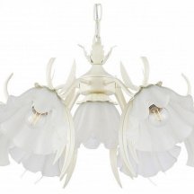 Подвесная люстра Napoli 316066/D680/7 IV Подвесная люстра Napoli 316066/D680/7 IV