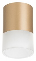 Точечный светильник Lightstar Rullo R349081