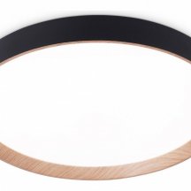 Накладной светильник Ambrella light FZ FZ1326