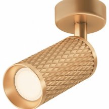 Спот Maytoni Alfa C034CL-01G